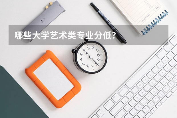 哪些大學(xué)藝術(shù)類專業(yè)分低？