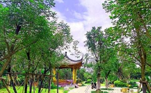 馬鞍池公園游記作文