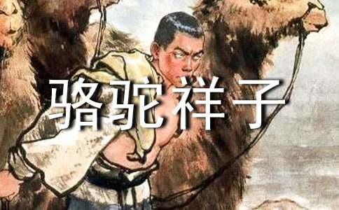 《駱駝祥子》的讀書(shū)筆記15篇
