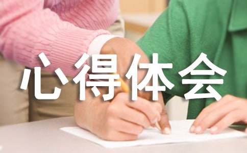 交通安全日感想心得體會(huì)
