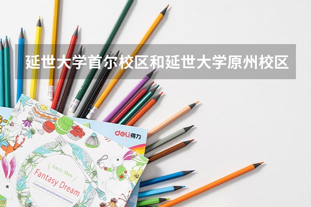 延世大學首爾校區(qū)和延世大學原州校區(qū)有什么不一樣嗎