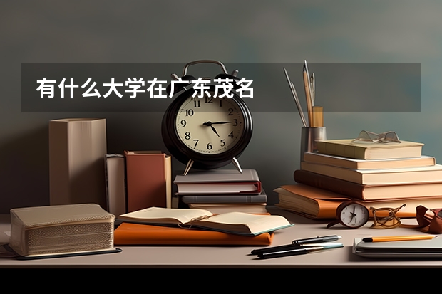 有什么大學(xué)在廣東茂名