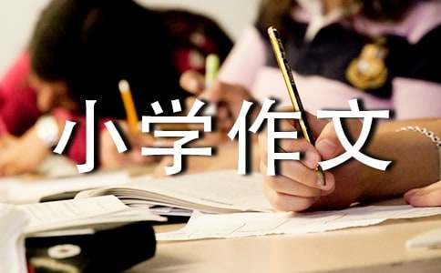 自我介紹小學(xué)作文匯編15篇