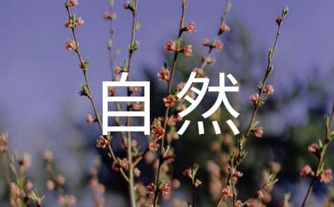 四年級(jí)大自然規(guī)律作文（精選4篇）