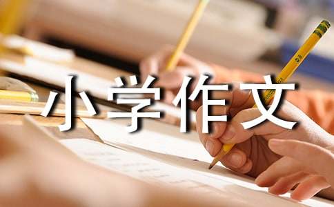 假如我是雨小學(xué)作文（通用3篇）