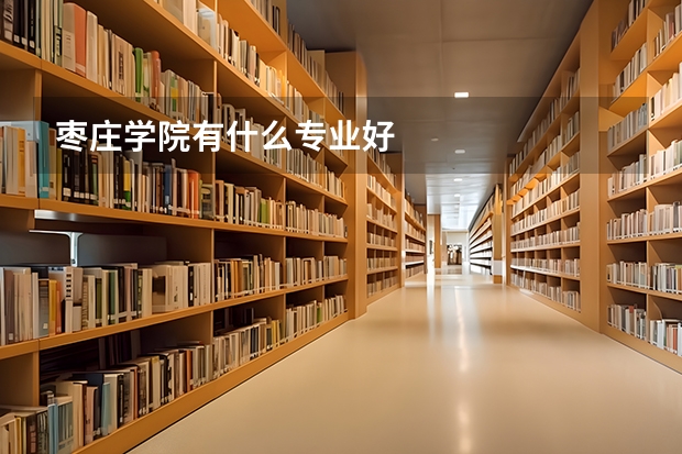 棗莊學(xué)院有什么專業(yè)好