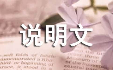 【實(shí)用】說(shuō)明文的作文集錦七篇