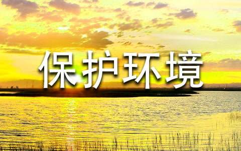 保護環(huán)境三年級作文300字（精選3篇）