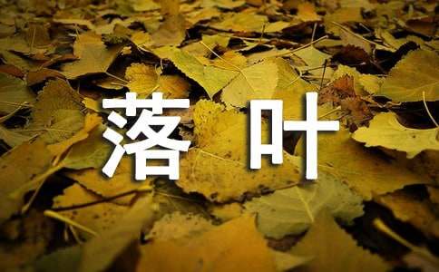 聽落葉說(shuō)話高中作文