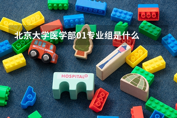 北京大學醫(yī)學部01專業(yè)組是什么