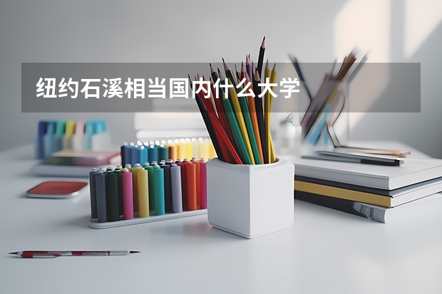 紐約石溪相當國內(nèi)什么大學(xué)