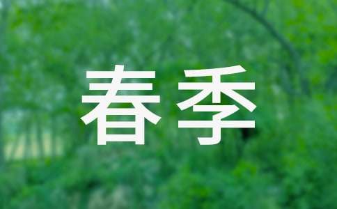 小學后勤工作計劃2025春季