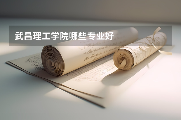 武昌理工學(xué)院哪些專(zhuān)業(yè)好
