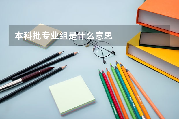 本科批專(zhuān)業(yè)組是什么意思