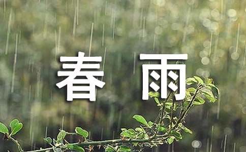 小學(xué)生關(guān)于春雨的作文8篇