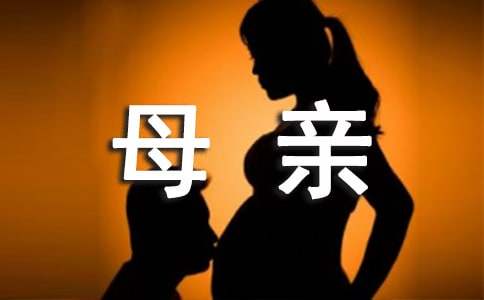 感受母親的愛作文（通用3篇）