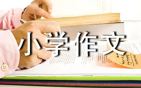 寫給未來自己的小學(xué)作文