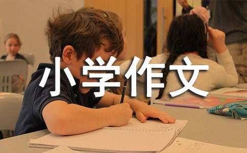 多彩的活動(dòng)小學(xué)作文合集15篇