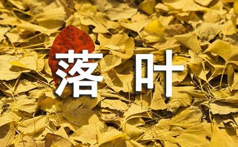 落葉初中作文3篇