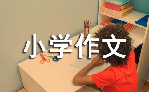 我的課余生活_小學(xué)作文