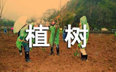 小學(xué)作文：看圖寫話――植樹