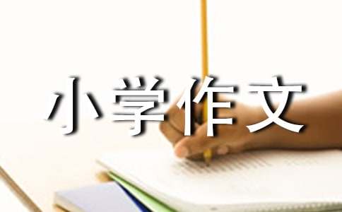 開卷是否有益小學(xué)作文