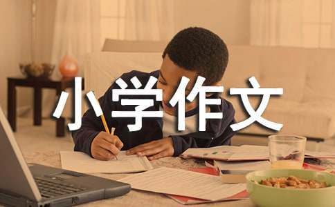 【實用】小學(xué)的小學(xué)作文600字匯總5篇