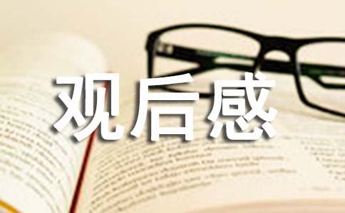 不說話的愛觀后感（精選12篇）