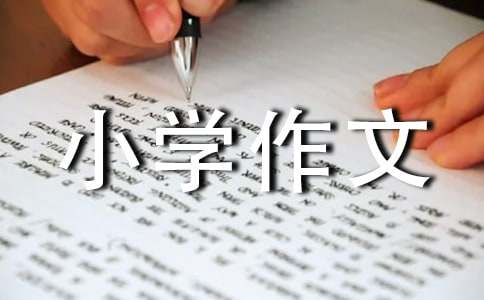 【精選】我向往的小學(xué)作文500字4篇