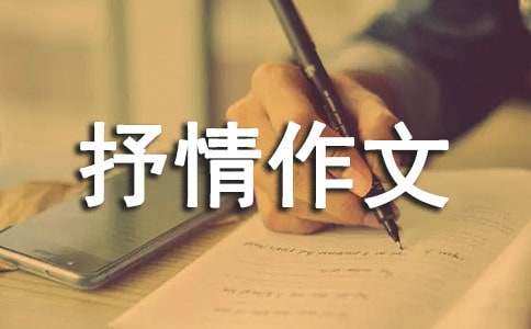 過年_高中抒情作文