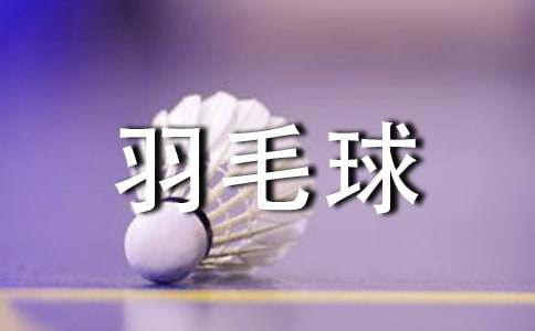 打羽毛球小學(xué)生作文300字
