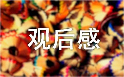 2025年《哆啦A夢(mèng)：大雄的繪畫(huà)奇遇記》觀后感（通用10篇）