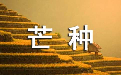 芒種教學設計