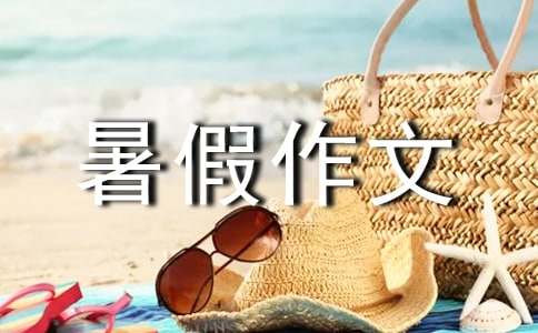 初三暑假作文