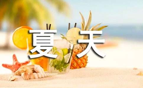 描寫夏天的夜晚作文