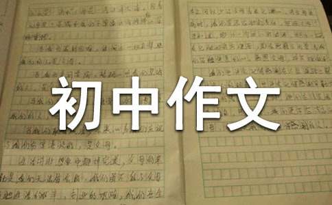 發(fā)生在目光下的戰(zhàn)斗初中作文2000字