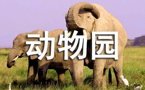 去動(dòng)物園的英語作文匯編【15篇】