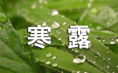 描寫寒露的好詞好句